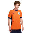 dutch national team jersey